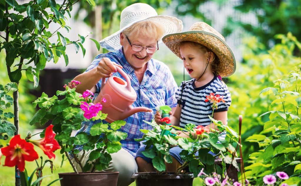 Tips for a Flourishing Summer Garden Bulman Wealth